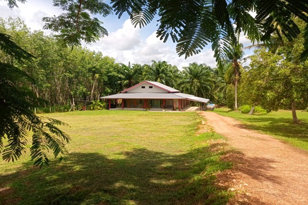 House Front